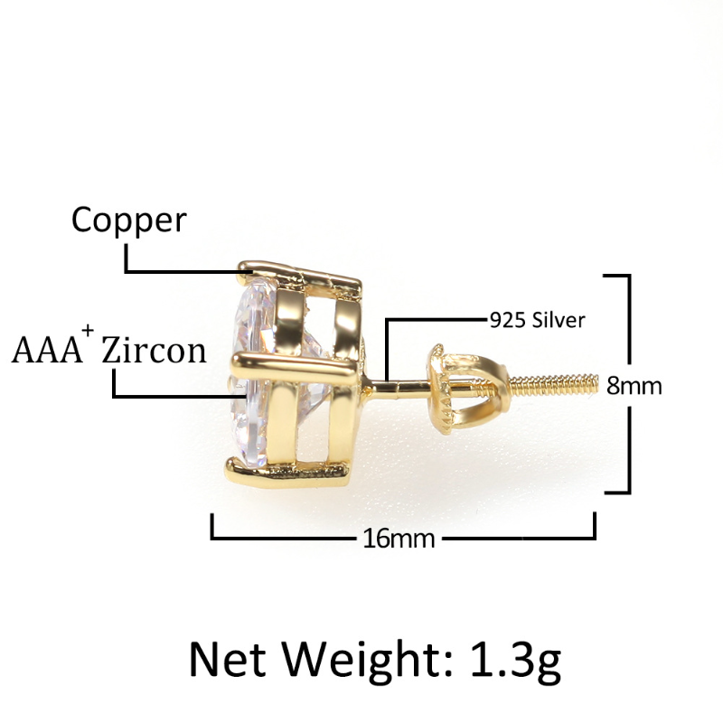 Zircon Hip Hop 925 Silver Stud Earrings